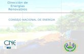 Dirección de Energías Renovables CONSEJO NACIONAL DE ENERGIA.