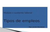 Modulo v sustento laboral Tipos de empleos Mgr. Javier Mendoza.