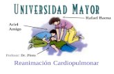 Reanimación Cardiopulmonar Ariel Amigo Rafael Baena Profesor: Dr. Pinto.