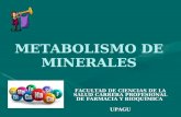 METABOLISMO DE MINERALES FACULTAD DE CIENCIAS DE LA SALUD CARRERA PROFESIONAL DE FARMACIA Y BIOQUÍMICA UPAGU.