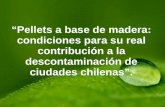 “Pellets a base de madera: condiciones para su real contribución a la descontaminación de ciudades chilenas”.