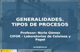 Profesor: Nuria Gómez CIFOR - Laboratorios de Celulosa y Papel nuria@inia.es GENERALIDADES. TIPOS DE PROCESOS.