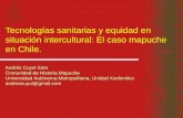 Tecnologías sanitarias y equidad en situación intercultural: El caso mapuche en Chile. Andrés Cuyul Soto Comunidad de Historia Mapuche Universidad Autónoma.