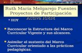 Ruth María Melgarejo Fuentes Proyectos de Participación Activa RMM HOY HOY Reconocer la Estructura del Marco Curricular Vigente y sus alcances. Reconocer.