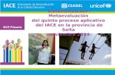 Sistematización / Metaevaluación del quinto proceso aplicativo del IACE en la provincia de Salta -noviembre 2014-