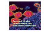 Agentes virales relacionados con sindromes nerviosos.