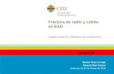 Fractura de radio y cúbito en EAD Fijador externo y factores de crecimiento Manuel Grau LLongo Ricardo Ruiz Comes Valencia, 22-23 de Enero de 2010 Grupo.
