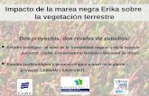 Impacto de la marea negra Erika sobre la vegetaci Ó n terrestre Dos proyectos, dos niveles de estudios: Estudio ecológico al nivel de la comunidad vegetal.