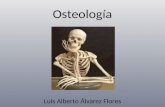 Osteología Luis Alberto Álvarez Flores. 1.- ¿Por cuantos huesos está conformado el esqueleto humano? 2.- ¿Cuál es la función del esqueleto? 3.- ¿Qué tipo.