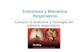 Estructura y Mecánica Respiratoria Conocer la anatomía y fisiología del sistema respiratorio.