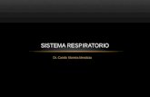 Dr. Camilo Moreira Mendoza SISTEMA RESPIRATORIO. APARATO RESPIRATORIO El aparato respiratorio o tracto respiratorio conforma un sistema encargado de realizar.