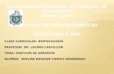 CLASE CURRICULAR: BIOPSICOLOGÍA PROFESOR: DR. LAZARO CASTELLÓN TEMA: GRAFICOS DE APARATOS ALUMNA: AVELINA BRISEIDE CHÁVEZ HERNÁNDEZ.