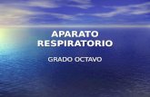 APARATO RESPIRATORIO GRADO OCTAVO. APARATO RESPIRATORIO: La respiración es un proceso involuntario y automático, en que se extrae el oxígeno del aire.