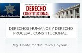 DERECHOS HUMANOS Y DERECHO PROCESAL CONSTITUCIONAL. Mg. Dante Martin Paiva Goyburu.