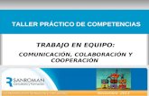 TRABAJO EN EQUIPO: COMUNICACIÓN, COLABORACIÓN Y COOPERACIÓN TALLER PRÁCTICO DE COMPETENCIAS Noviembre 2013.