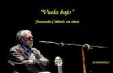 “Vuela bajo” Facundo Cabral: en vivo AUTOMATICO GRACIAS!!!