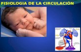 FISIOLOGIA DE LA CIRCULACIÓN.  Este capítulo revisa primero la circulación fetal,de transición y la hemodinámica postransicional con un énfasis en los.
