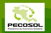 PECOSOL CENTROAMERICA Estructura  Asamblea General integrada por los Capitulos Nacionales - Facilitadores Nacionales - Organizaciones  Consorcio -
