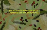 Situación de la Producción de los Granos Básicos en Centroamérica.