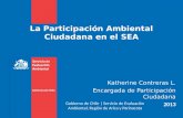 La Participación Ambiental Ciudadana en el SEA Katherine Contreras L. Encargada de Participación Ciudadana 2013 Gobierno de Chile | Servicio de Evaluación.