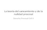 La teoría del saneamiento y de la nulidad procesal Derecho Procesal Civil II.