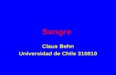 Sangre Claus Behn Universidad de Chile 310810. Sangre Aspectos generales Hematopoyesis Hemostasis.