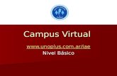 Campus Virtual  Nivel Básico.