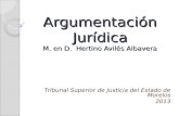 Argumentación Jurídica M. en D. Hertino Avilés Albavera Tribunal Superior de Justicia del Estado de Morelos 2013.