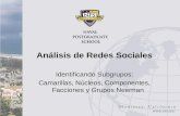 Análisis de Redes Sociales Identificando Subgrupos: Camarillas, Núcleos, Componentes, Facciones y Grupos Newman.