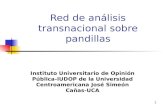 1 Red de análisis transnacional sobre pandillas Instituto Universitario de Opinión Pública-IUDOP de la Universidad Centroamericana José Simeón Cañas- UCA.
