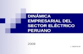 DINÁMICA EMPRESARIAL DEL SECTOR ELÉCTRICO PERUANO 2009 L. BEDOYA W.