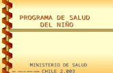 PROGRAMA DE SALUD DEL NIÑO MINISTERIO DE SALUD CHILE 2.003 ENF. CECILIA REYES ACUÑA.