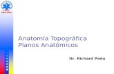Anatomía Topográfica Planos Anatómicos Dr. Richard Peña.