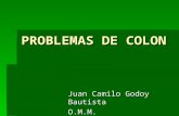 PROBLEMAS DE COLON Juan Camilo Godoy Bautista O.M.M.