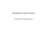 Sistema Nervioso Control Respiratorio. Estructura del tórax y mecanismo de la ventilación pulmonar La cavidad torácica es la región del cuerpo que se.
