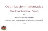 Algoritmos Genéticos – Parte 1 Por: Antonio H. Escobar Zuluaga Universidad Tecnológica de Pereira - Colombia 2014 Optimización matemática Algoritmos Genéticos.