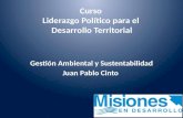 Curso Liderazgo Político para el Desarrollo Territorial Gestión Ambiental y Sustentabilidad Juan Pablo Cinto.