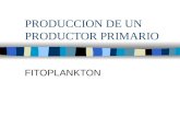 PRODUCCION DE UN PRODUCTOR PRIMARIO FITOPLANKTON.