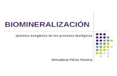 BIOMINERALIZACIÓN Química inorgánica de los procesos biológicos Almudena Pérez Pereira.