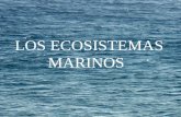 LOS ECOSISTEMAS MARINOS. La distribución de los organismos en los océanos es mucho más uniforme que en los continentes y está escasamente influida por.