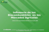 Influencia de los Biocombustibles en los Mercados Agr í colas e-oleum Consulting SL. C/Buenaventura I ñ iguez, 6 bajo. 31006 Pamplona. Tel +34 948293578.