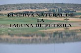 RESERVA NATURAL DE LA LAGUNA DE PÉTROLA. ¿Por qué hay aquí una laguna? En esta comarca (La Mancha de Monte- Aragón y el Corredor de Almansa), el paisaje.
