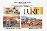 Guadalajara, Jalisco. Agosto del 2008. “FORO TEMATICO PECUARIO” PONENCIA Industria Primaria Bovinos de Carne Problemática y Propuestas.