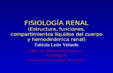 FISIOLOGÍA RENAL (Estructura, funciones, compartimientos líquidos del cuerpo y hemodinámica renal) Fabiola León Velarde Dpto. de Ciencias Biológicas y.