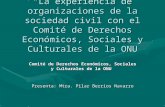 “La experiencia de organizaciones de la sociedad civil con el Comité de Derechos Económicos, Sociales y Culturales de la ONU Comité de Derechos Económicos,