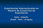 Experiencias Internacionales en Materia de Consorcios de Exportación Italia – España Brasil – Perú - Uruguay.