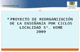 1 PROYECTO DE REORGANIZACIÓN DE LA ENSEÑANZA POR CICLOS LOCALIDAD 5ª. USME 2009.