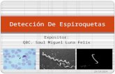 Expositor: QBC. Saul Miguel Luna Felix Detección De Espiroquetas 29/10/2014.