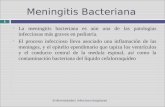Meningitis Bacteriana La meningitis bacteriana es aún una de las patologías infecciosas más graves en pediatría. El proceso infeccioso lleva asociado una.