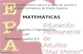 Curso de preparación para la prueba de acceso a Ciclos Formativos de Grado Superior MATEMÁTICAS Tema: Triángulos y Trigonometría Problema resuelto Nº2.